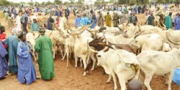 FB IMG 1739957746456