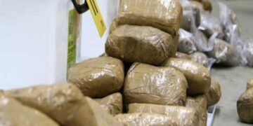 FB IMG 1740037629429