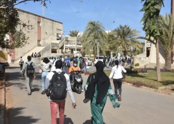 FB IMG 1740473730586