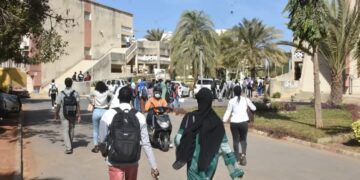 FB IMG 1740473730586