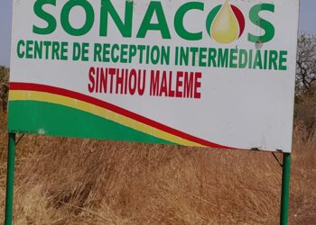 Tambacounda : Conditions de travail précaires à la SONACOS, les saisonniers interpellent les autorités 8 IMG 20250206 WA0269