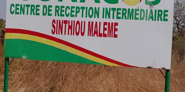 Tambacounda : Conditions de travail précaires à la SONACOS, les saisonniers interpellent les autorités 1 IMG 20250206 WA0269