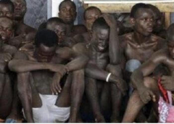 Prisons surpeuplées et loi d’amnistie à abroger : l’ONU alerte sur une « poudrière » au Sénégal 1 IMG 20250213 WA0187