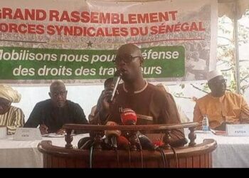 IMG 20250214 WA02151