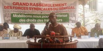 IMG 20250214 WA02151