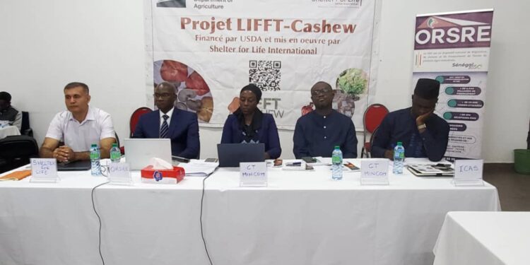 Casamance : Vers une campagne record de commercialisation et de transformation de l’anacarde 1 IMG 20250224 WA0156