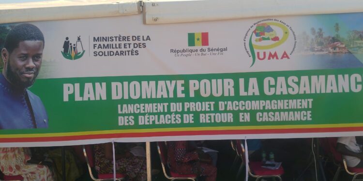 Plan Diomaye pour la Casamance : priorité au déminage et à la délivrance des pièces d’état civil pour les déplacés 1 IMG 20250226 WA0152