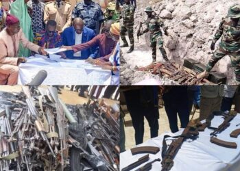 InCollage 20250208 083720406