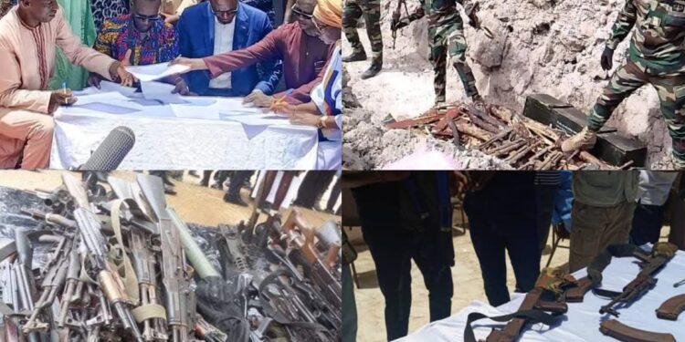 InCollage 20250208 083720406