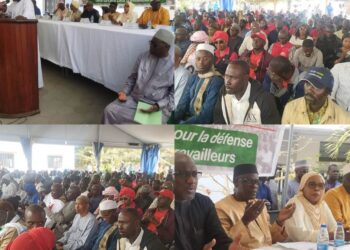 Les syndicats se mobilisent : vers une grève générale pour défendre les droits des travailleurs 4 InCollage 20250215 072937378