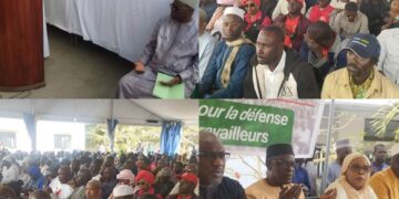 InCollage 20250215 072937378