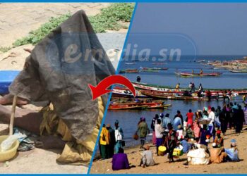 Mbour : Un citoyen français a été tué par une personne atteinte de troubles mentaux.