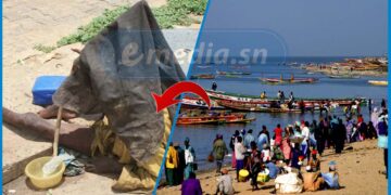 Mbour : Un citoyen français a été tué par une personne atteinte de troubles mentaux.