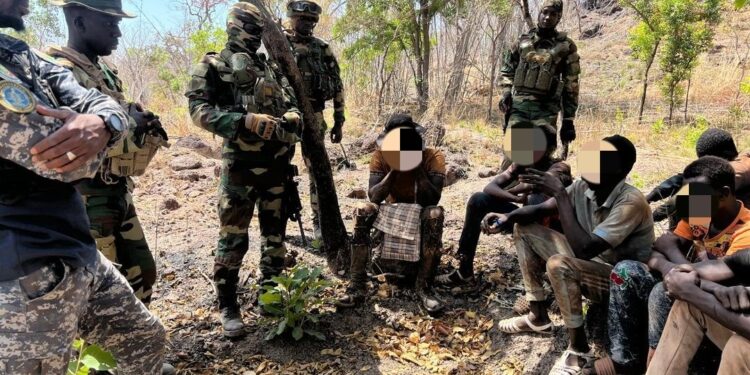Démantèlement d’un site d’orpaillage clandestin et saisie de bois illégal par l’armée sénégalaise 1 20250330 002553