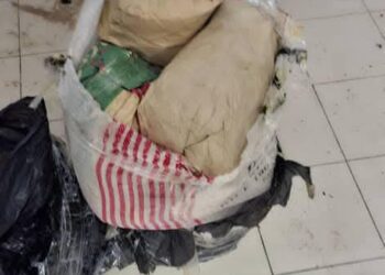 Importante saisie de drogue entre Dakar et Ziguinchor : 97,5 kg de chanvre indien interceptés 3 FB IMG 1741523897898