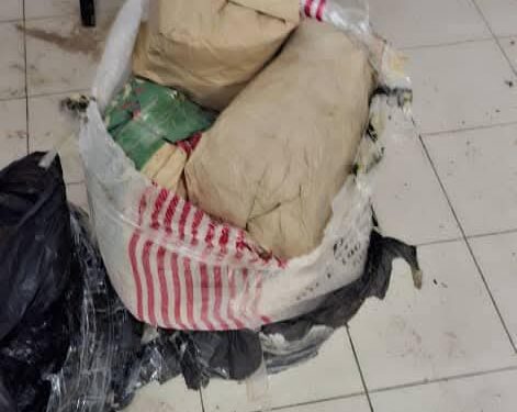 Importante saisie de drogue entre Dakar et Ziguinchor : 97,5 kg de chanvre indien interceptés 1 FB IMG 1741523897898
