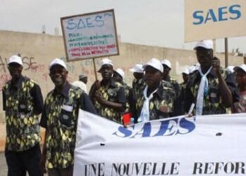 FB IMG 1741530738499