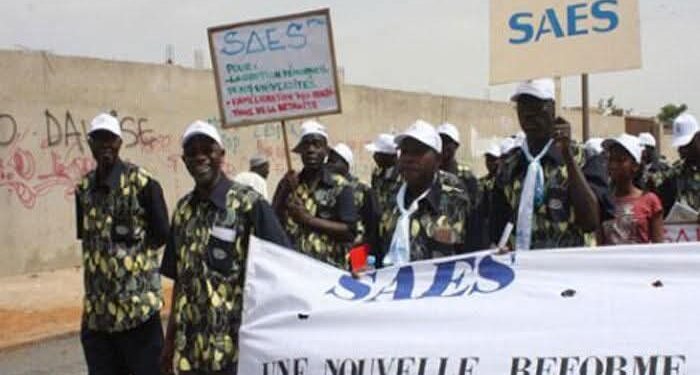 SAES : Le décret sur la pension des enseignants-chercheurs enfin signé 1 FB IMG 1741530738499