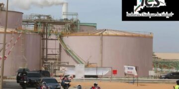 FB IMG 1741619637443 2