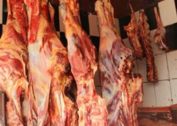 FB IMG 1741889480965