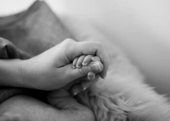 FB IMG 1742888763124