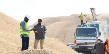 Exportation d’arachides : Le gouvernement délivre de nouvelles autorisations 2 FB IMG 1742986377270