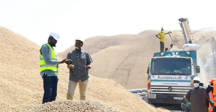 Exportation d’arachides : Le gouvernement délivre de nouvelles autorisations 1 FB IMG 1742986377270