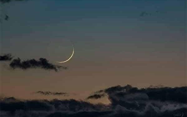 FB IMG 1743191410437