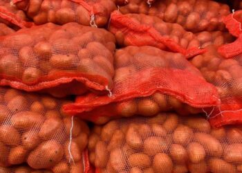 Marché de la pomme de terre : l’ARM suspend temporairement la mise en marché par les agrobusiness pour protéger les petits producteurs. 1 FB IMG 1743197425115