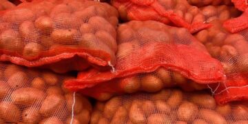 FB IMG 1743197425115