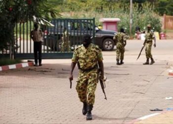 FB IMG 1743371684227