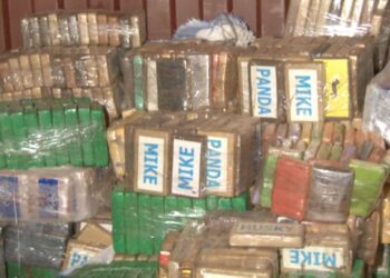 Lutte contre le trafic de drogue : plus de 2,6 tonnes de cocaïne incinérées à Rufisque. 1 IMG 20250312 WA0200