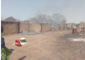 Kaffrine : Un violent incendie ravage des dizaines de cases et des stocks de vivres 3 IMG 20250312 WA0253