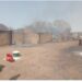 Kaffrine : Un violent incendie ravage des dizaines de cases et des stocks de vivres 6 IMG 20250312 WA0253