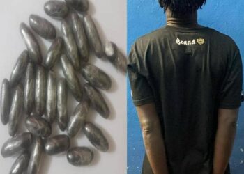 IMG 20250314 WA02861