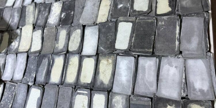 Saisie record de billets noirs : plus de 4,5 milliards de francs CFA interceptés par les Douanes 1 IMG 20250326 WA0272