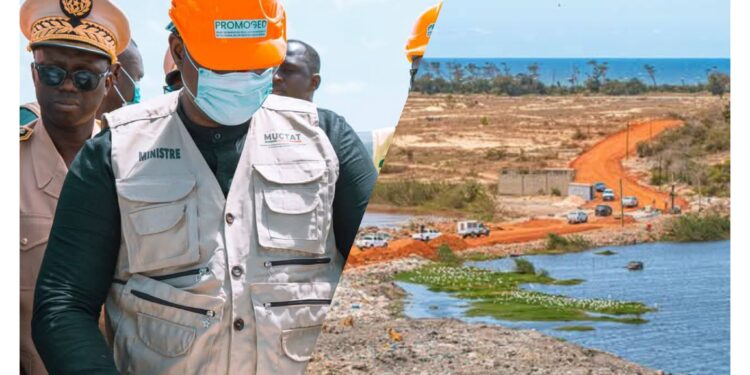 InCollage 20250305 210748922