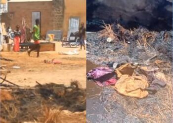 InCollage 20250329 080844262