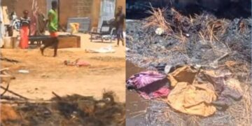 InCollage 20250329 080844262