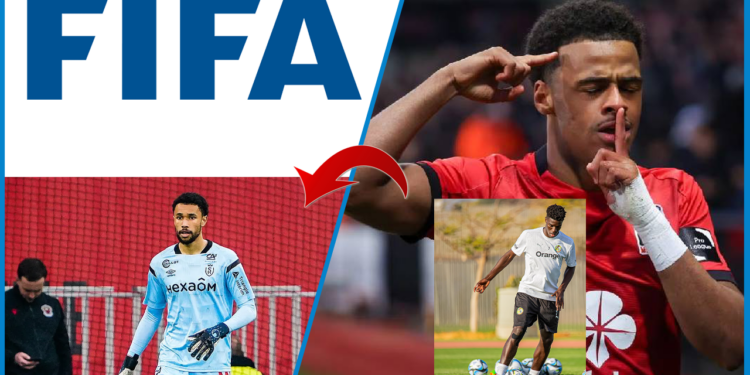 Football – Nationalité sportive : la FIFA valide trois nouveaux Lions, le cas Ilay Camara toujours en suspens 1 Football – Nationalité sportive : la FIFA valide trois nouveaux Lions, le cas Ilay Camara toujours en suspens