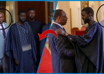 Pape Mada Ndour limogé de son poste de Chef de Cabinet du Président de la république