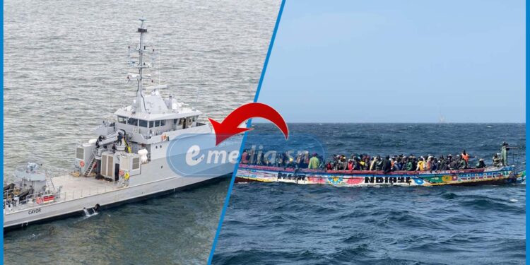 Secours en mer : La Marine nationale sauve 232 migrants au large de Sangomar 1 Secours en mer : La Marine nationale sauve 232 migrants au large de Sangomar