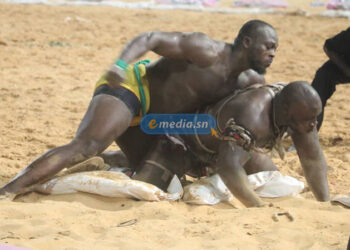 Conflit Modou Lo vs Ama Baldé : Pape Thiam obtient gain de cause contre Cheikh Luc Nicolaï et Ndiame Diop