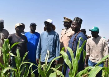 FB IMG 1744224810503