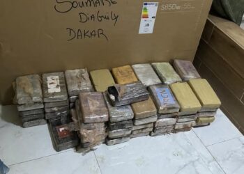 Dakar : un vaste réseau de trafic de drogue démantelé par la Gendarmerie nationale 1 FB IMG 1744463488527