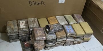 FB IMG 1744463488527