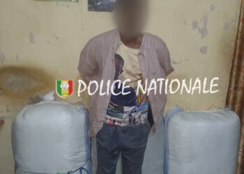 Kaolack : Saisie de 119 kg de chanvre indien à Nioro Keur Alassane 1 FB IMG 1745408832713