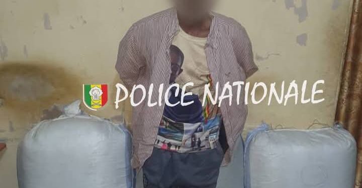 Kaolack : Saisie de 119 kg de chanvre indien à Nioro Keur Alassane 1 FB IMG 1745408832713