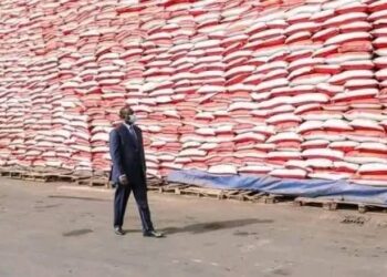 Affaire des sacs de riz : Rayan Hachem, Moustapha Ndiaye et Mouhamed Dieng en garde à vue à la DIC 2 FB IMG 1745422791252