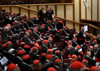 FB IMG 1745841649469